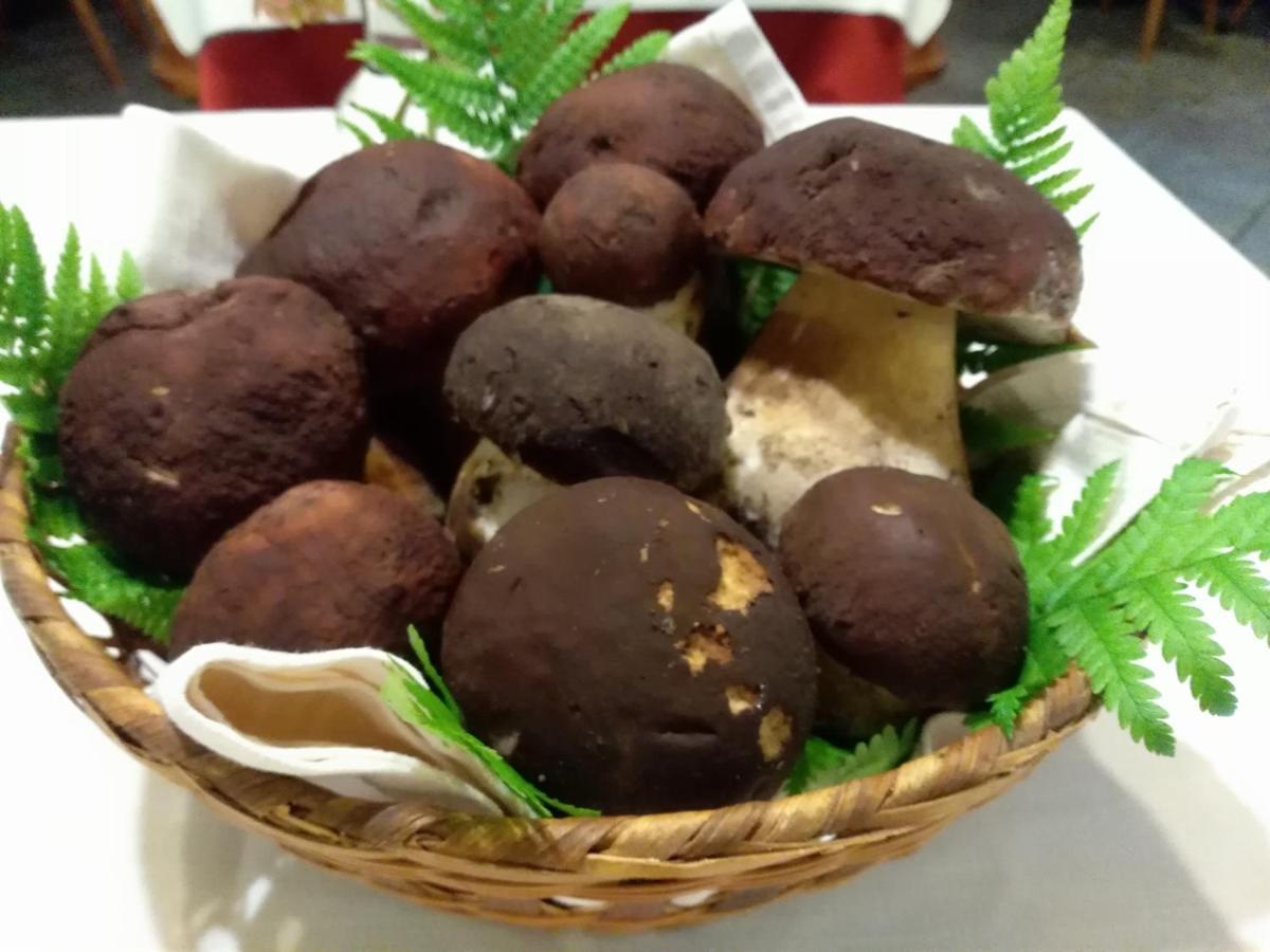 Albergo Ristorante Coppa Dazio Zewnętrze zdjęcie